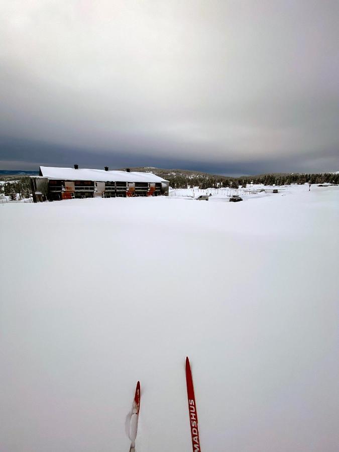 Lys Og Moderne Leilighet Rett Ved Skiloypa Pa Nordseter - Kort Vei Til Sjusjoen, Lillehammer Og Hafjell - Dyr Ikke Tillatt Exterior foto