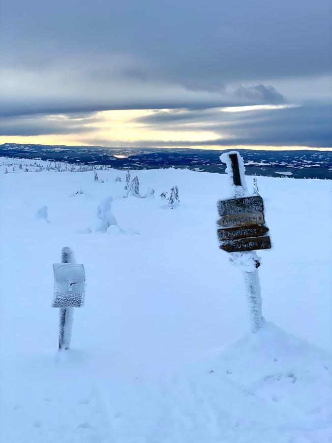 Lys Og Moderne Leilighet Rett Ved Skiloypa Pa Nordseter - Kort Vei Til Sjusjoen, Lillehammer Og Hafjell - Dyr Ikke Tillatt Exterior foto